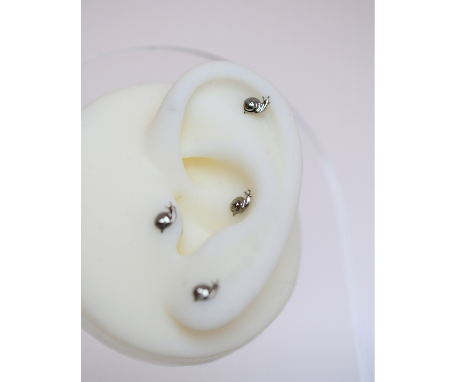 Labret Snail (golden)