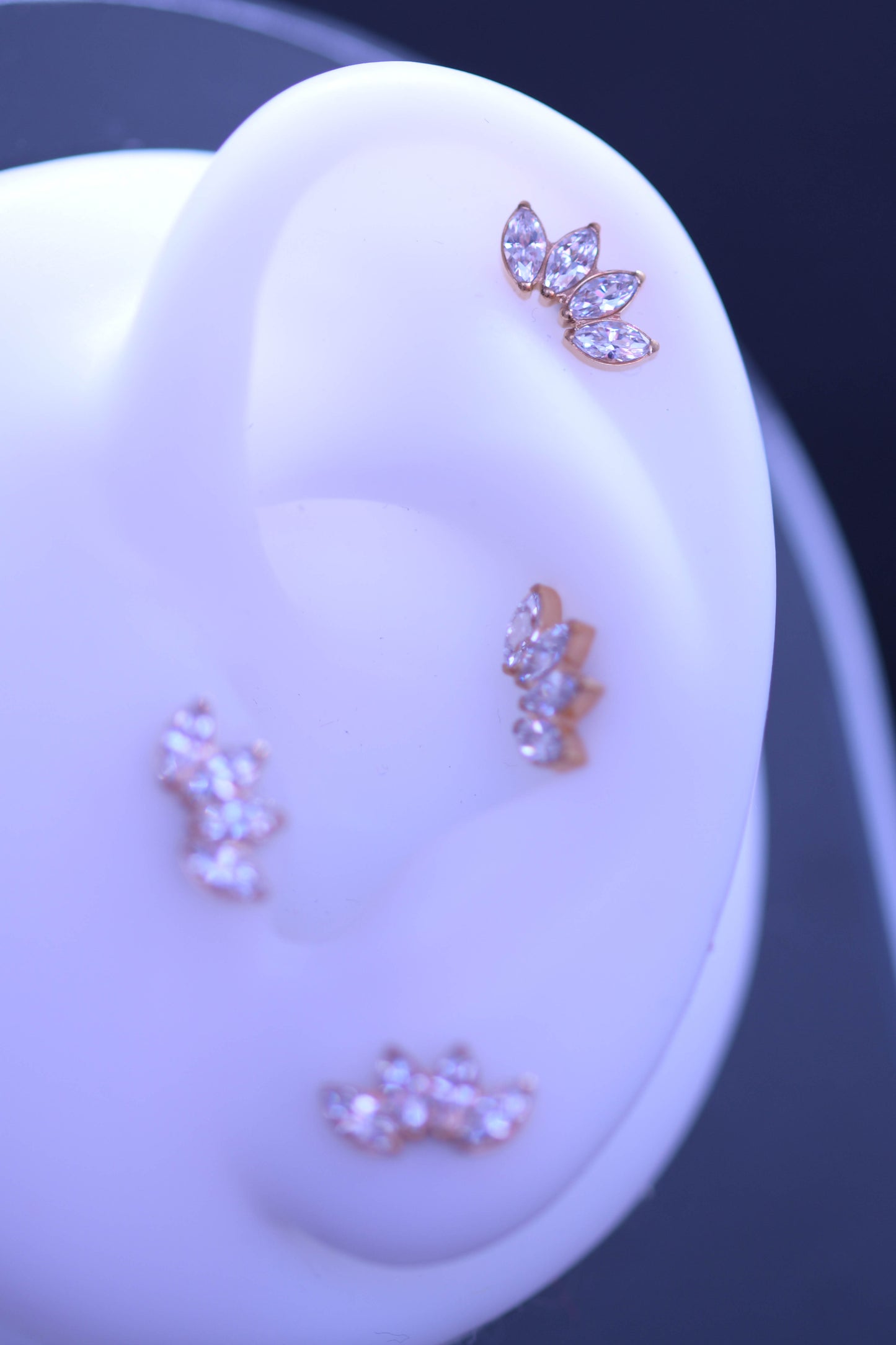 Labret Marchiză auriu