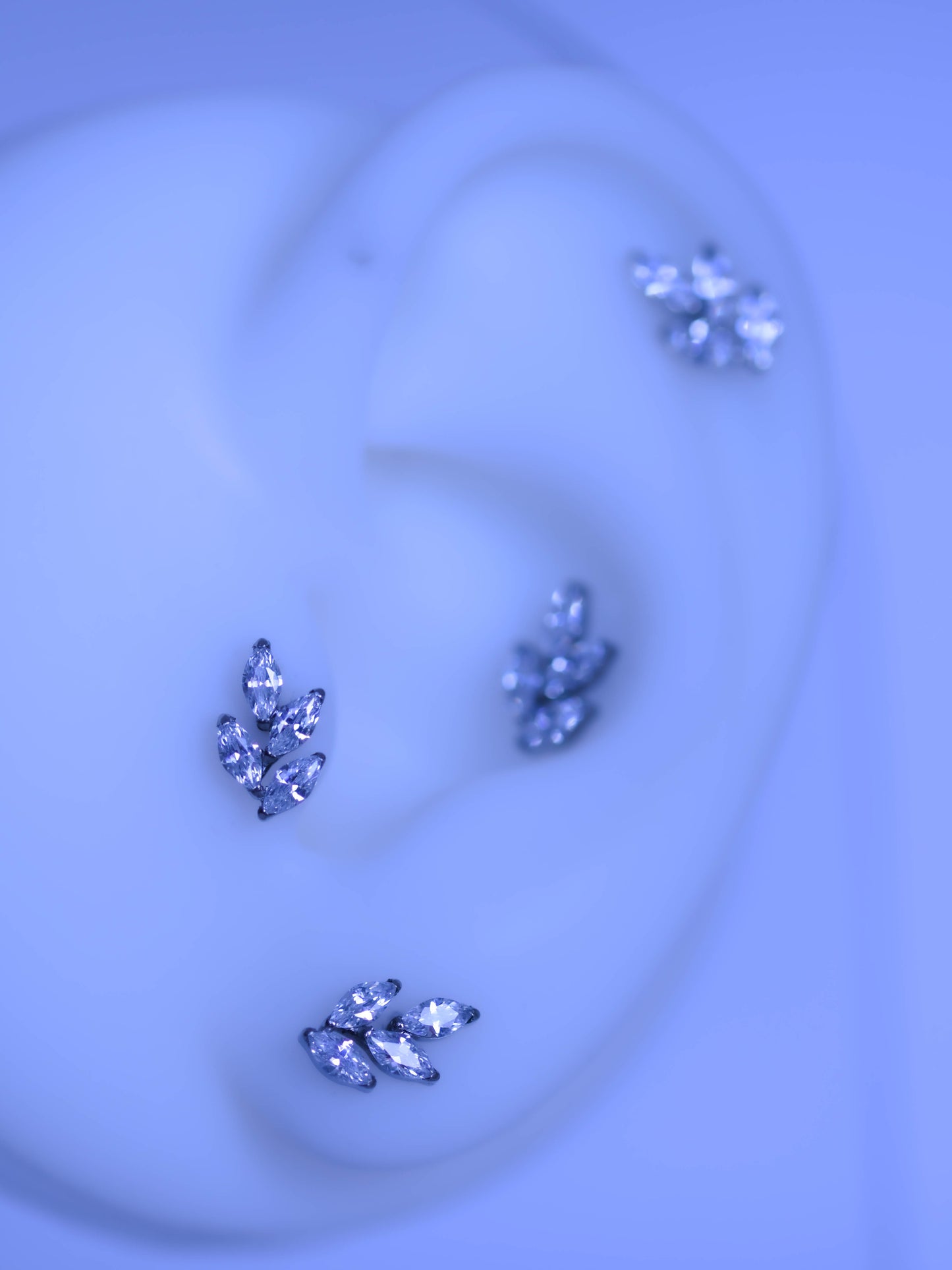 Labret Frunză Albă