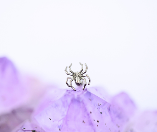 Labret Spider