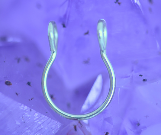 Fake Septum