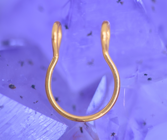Fake Septum auriu