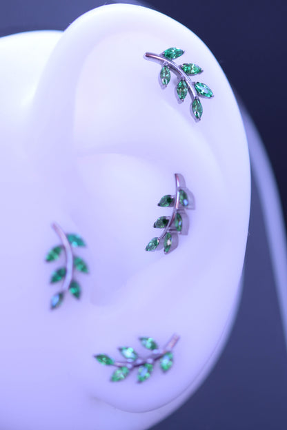 Labret Frunză verde