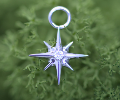 Charm North Star